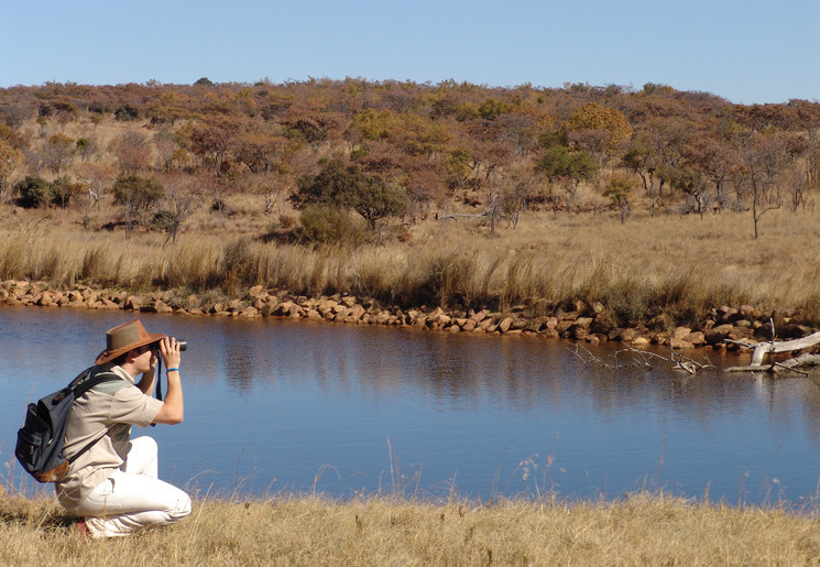 Wild spotten bij Kololo Game Reserve