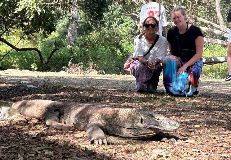 Komodovaranen spotten op Rinca Island