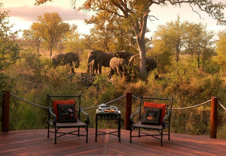Olifanten zien vanaf je lodge-terras in Krugerpark