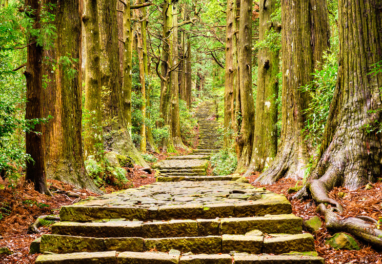 Kumano_Kodo_Trail_1