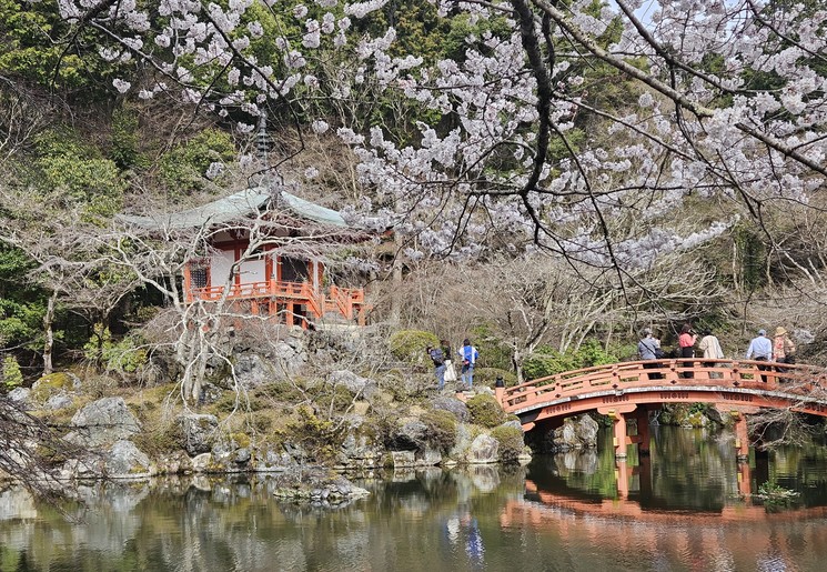 Prachtige natuur in Kyoto