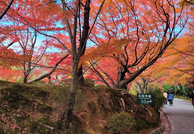 Herfstkleuren in Japan