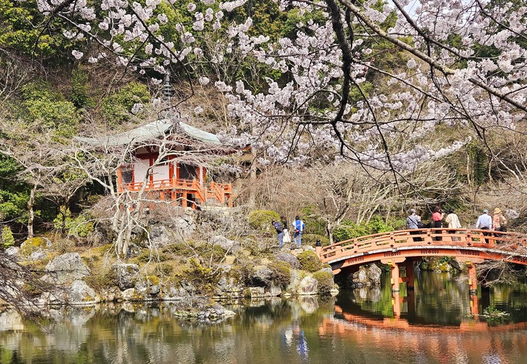 Park in Kyoto vol in bloei met de bloesems