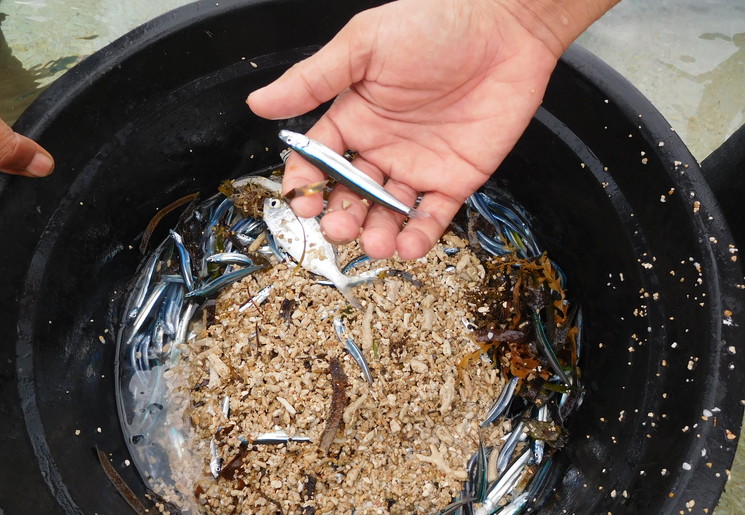 cbb806e7-2a4e-46b8-8bb9-2c71a1ab8241