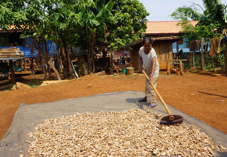 Laos-BolavenPlateau-Local
