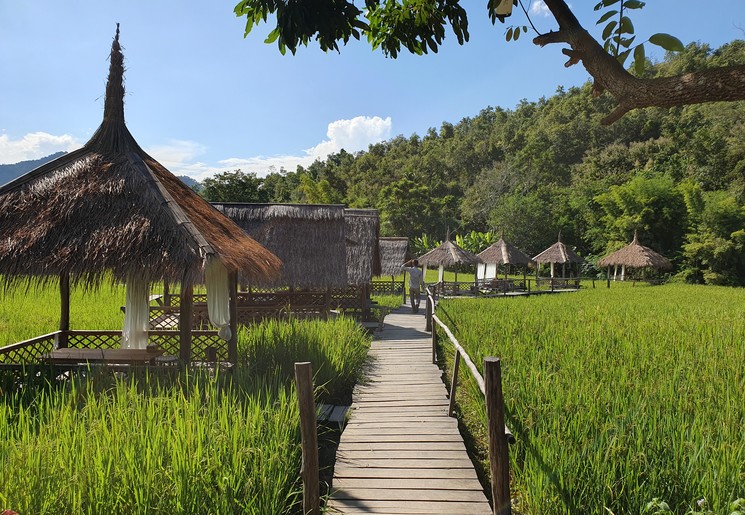 Geniet van een picknick tussen de rijstvelden in Laos