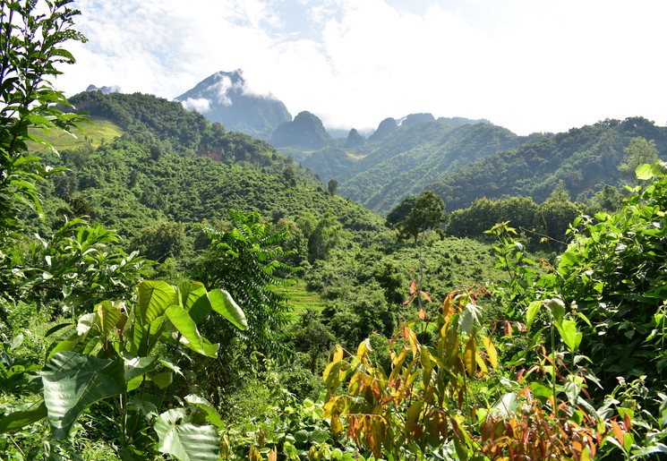 Uitzichten vanaf het pad naar de 100 Waterfalls, Nong Khiow - Laos