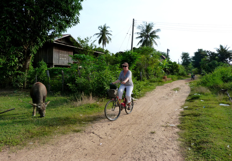 Heerlijk fietsen langs lokale dorpjes, buffels en watervallen op het eiland Don Khone