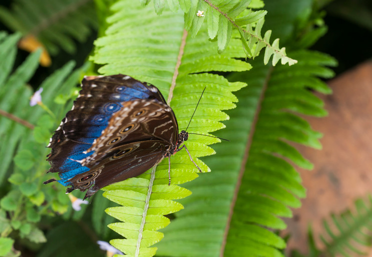 b5f75785-aa90-40e3-aa11-2dd0ebede379