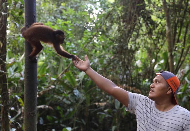 Wildlife in Tampobatha, Peru