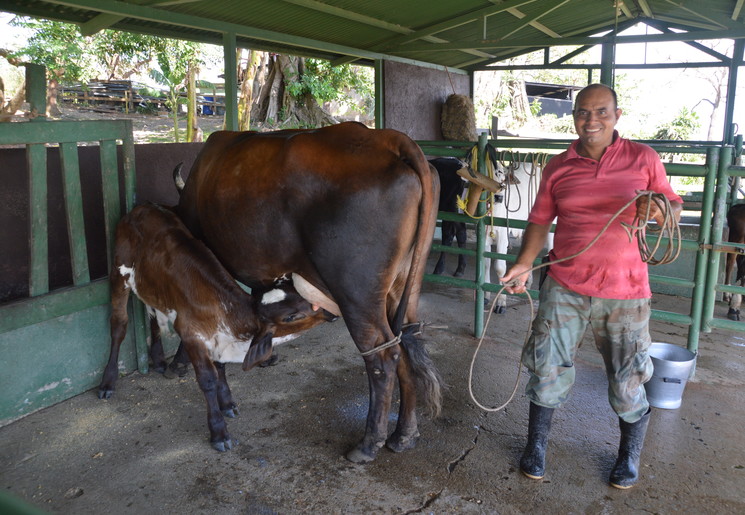 Als een cowboy in Rincon de La Vieja, Costa Rica