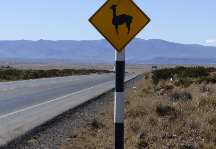 Let-op-overstekend-wild