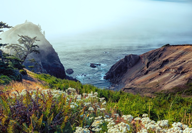 Mysterieuze mistflarden bij de kust van Oregon, Amerika