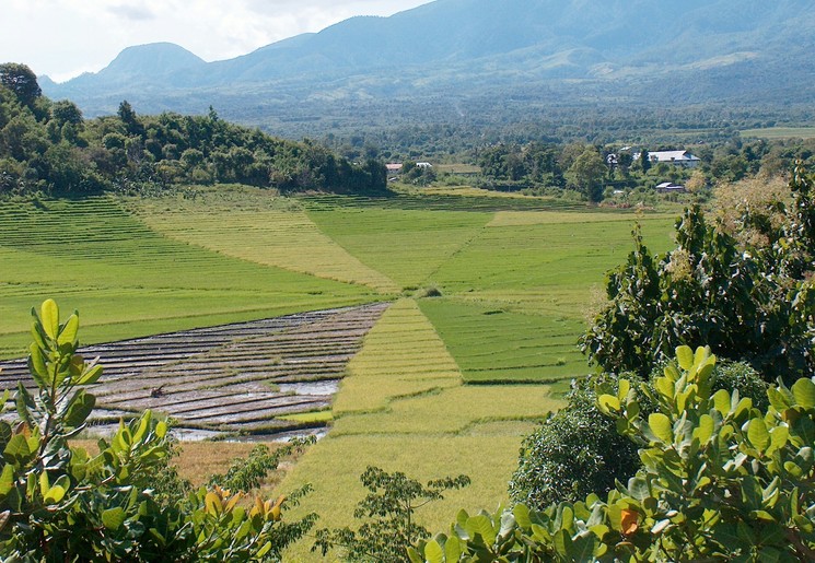 Lombor-Spinnenwebvelden_1_410367