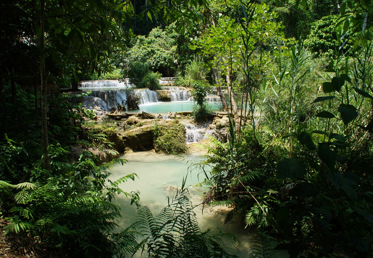 Luang-Prabang-Kuang-Si2