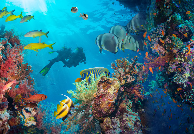 Snorkelen bij de Malediven
