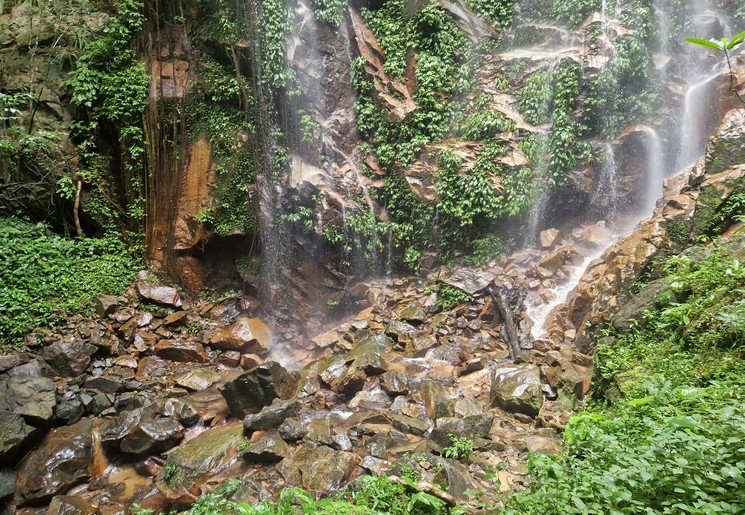 In het Belum Rainforest wandel je langs stromingen en riviertjes In het Belum Rainforest wandel je langs stromingen en riviertjes