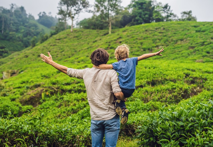 Wandelen in de Cameron Highlands, Maleisie