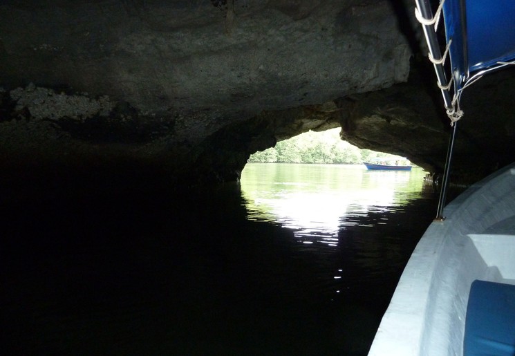 Varen door de mangrove in de omgeving van Langkawi, Maleisie