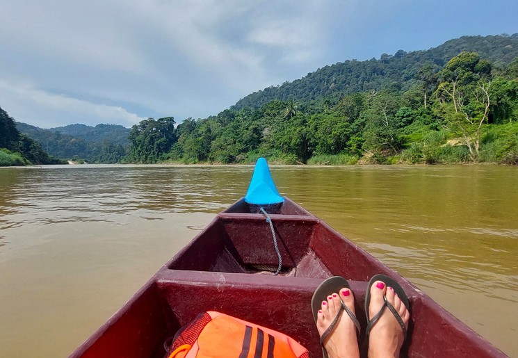 Boot door de groene jungle over de rivier van Taman Negara