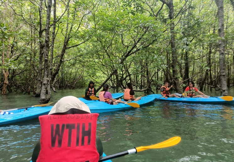 Kajakken door de mangrovebossen bij Langkawi, Maleisië