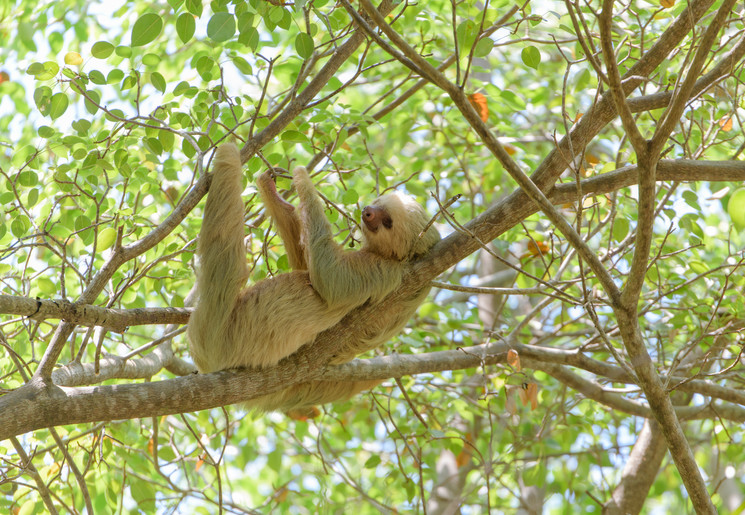Manuel Antonio National Park