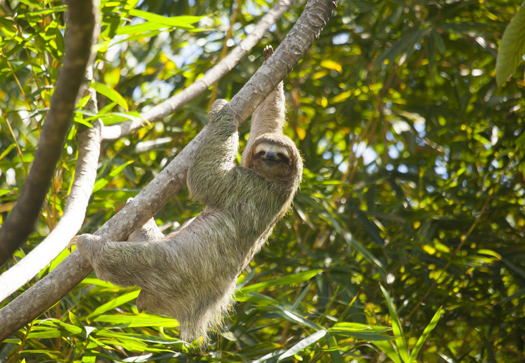 Manuel Antonio National Park