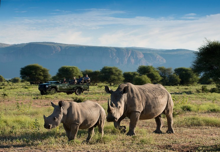 Marakele-National-Park in Zuid-Afrika