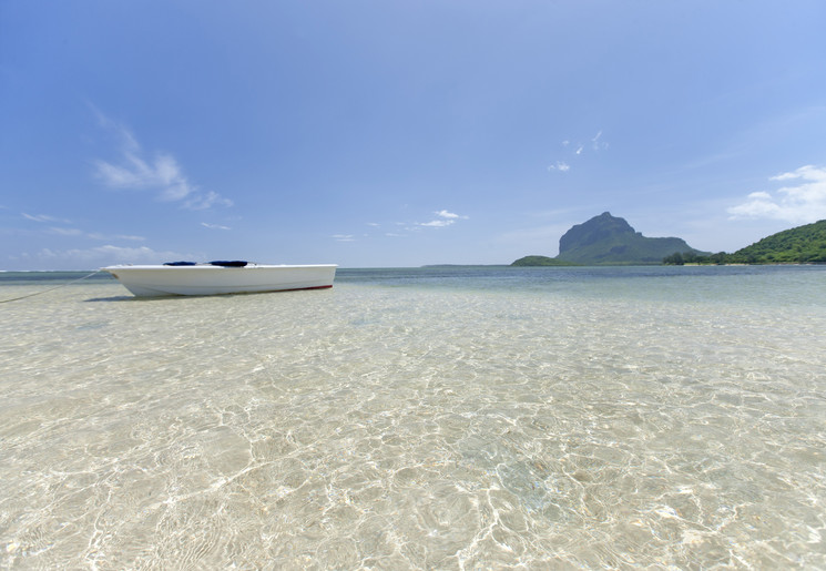 Safari Zuid-Afrika en de tropische stranden van Mauritius