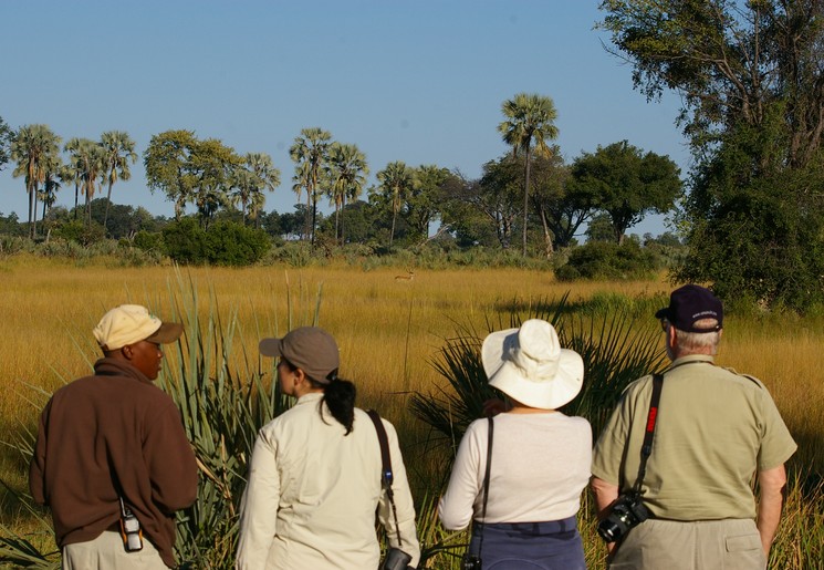 Op safari in Botswana, Maun