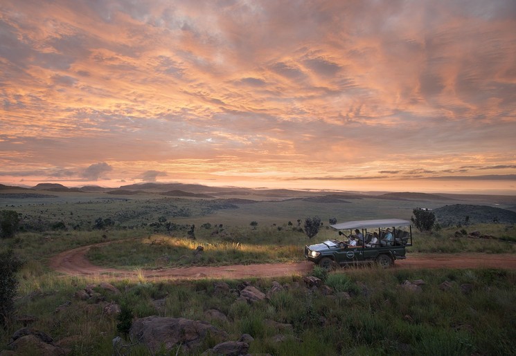 Op safari in Zuid-Afrika