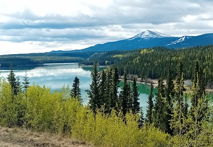 Omgeving Whitehorse, Yukon, Canada Omgeving Whitehorse, Yukon, Canada