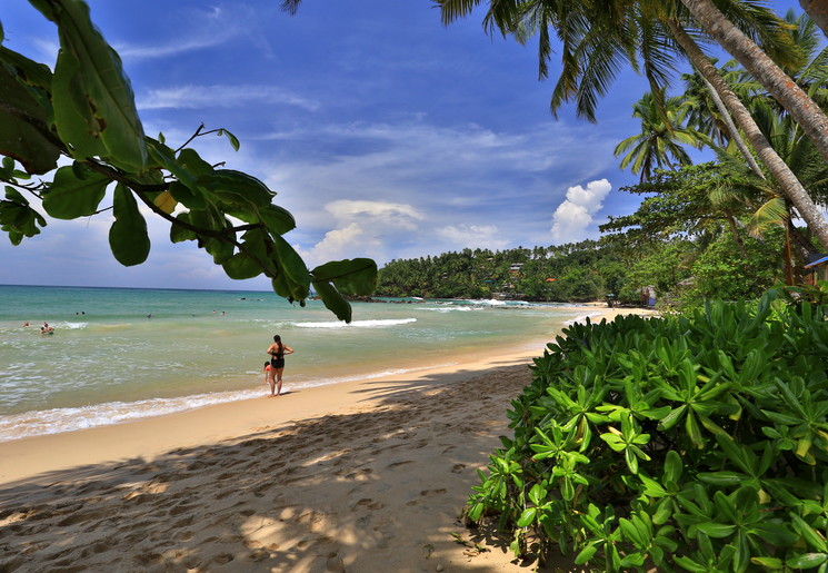 Een strand in Mirissa Sri Lanka met palmbomen, een blauwe lucht en helder water