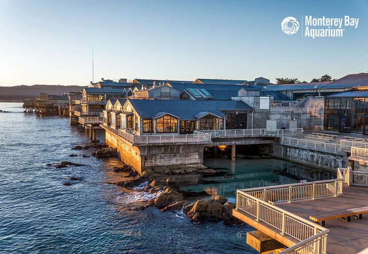 Monterey Aquarium