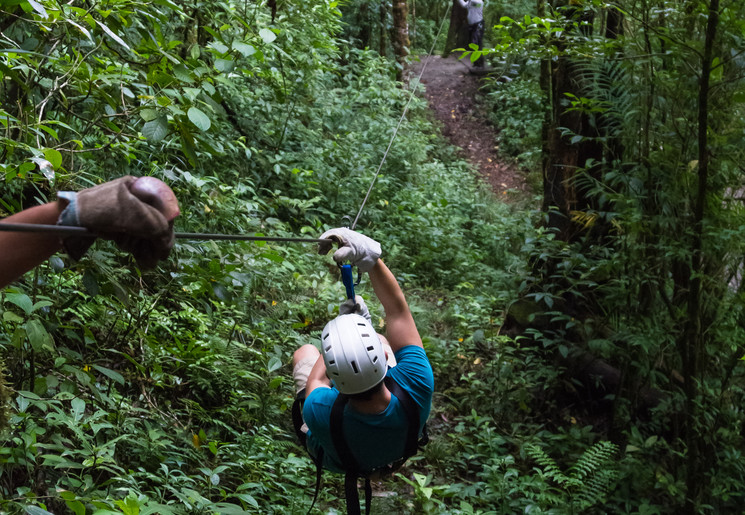 Monteverde-1-Canopy_1_337077