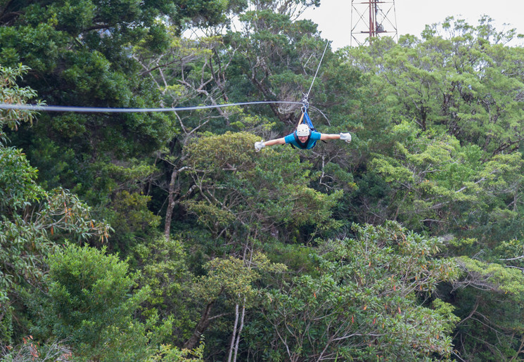 Ziplinen in Monteverde