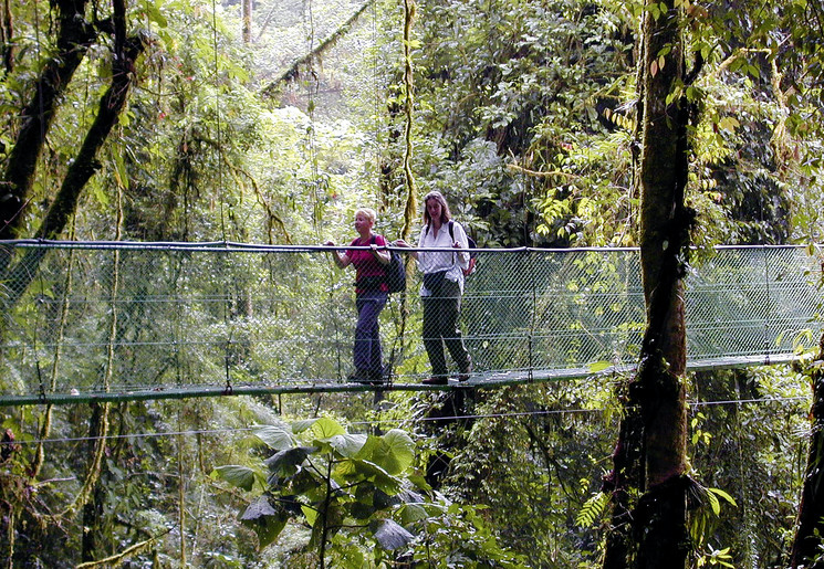 Wandelen over de hangbruggen in Monteverde, Costa Rica