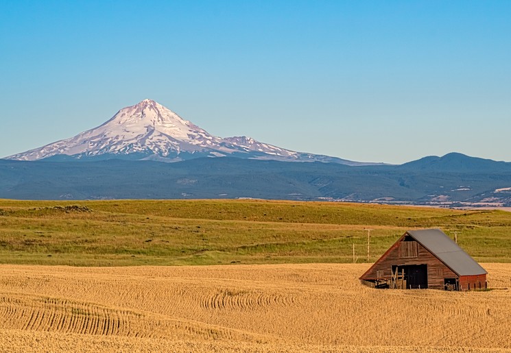 Bewonder de Mount Hood in Oregon, Amerika