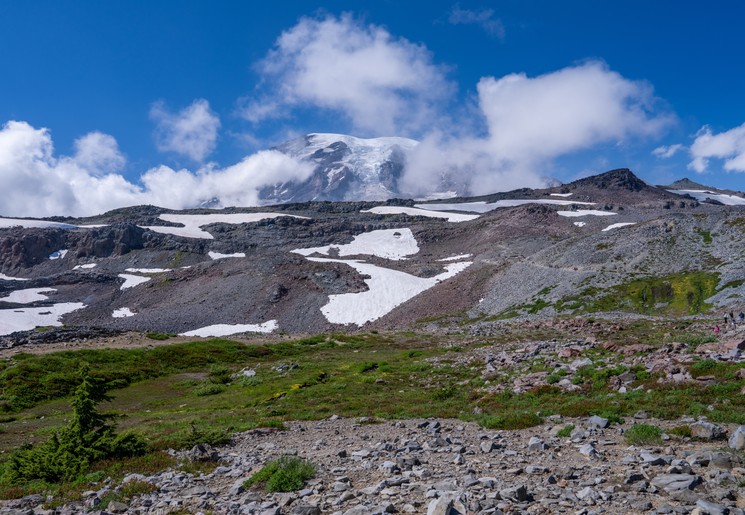 Paradise-gedeelte van Mount Rainier National Park
