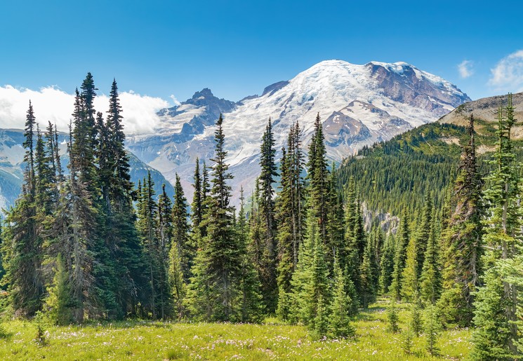 Mount Rainier National Park