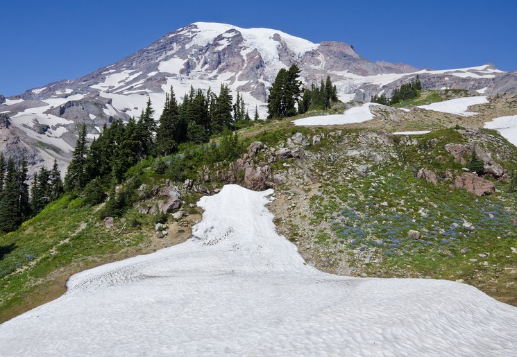 Gletsjer in Mount-Rainier-National-Park, VS
