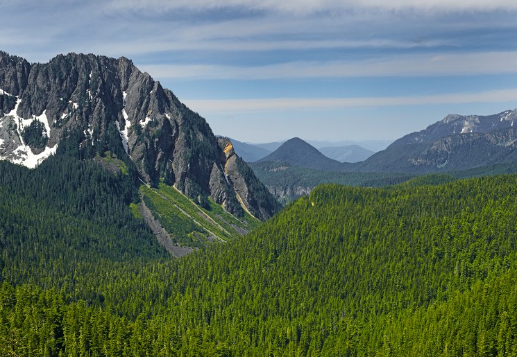 Uitzicht in Mount Rainier National Park