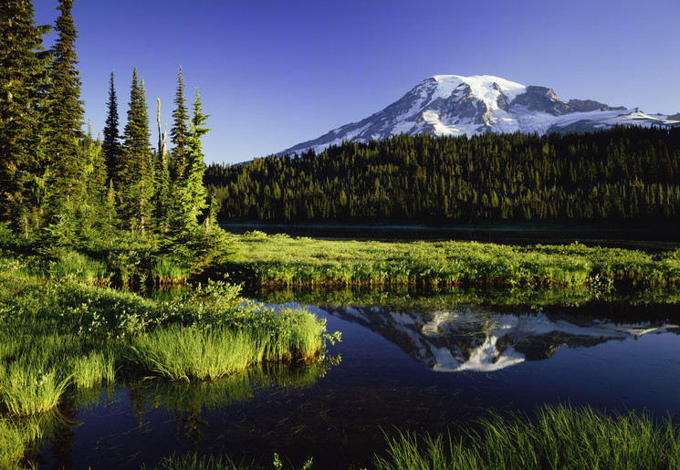Reflection Lakes, Mount Rainier National Park
