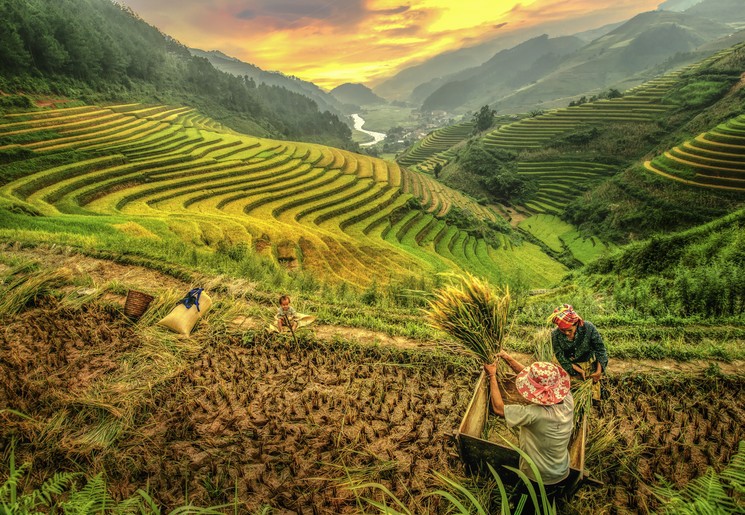 De rijstterrassen bij Mu Cang Chai zijn van ongekende schoonheid, Vietnam