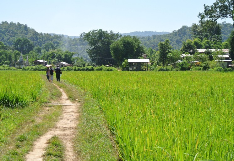 Myanmar-Hsipaw-trek(8)