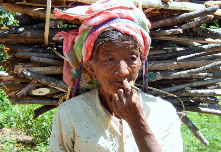 Myanmar-Inle Lake-vrouw met takken(8)