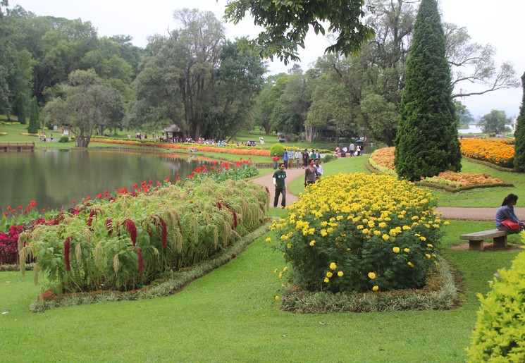 Myanmar-Pyin Oo Lwin-Garden3(8)