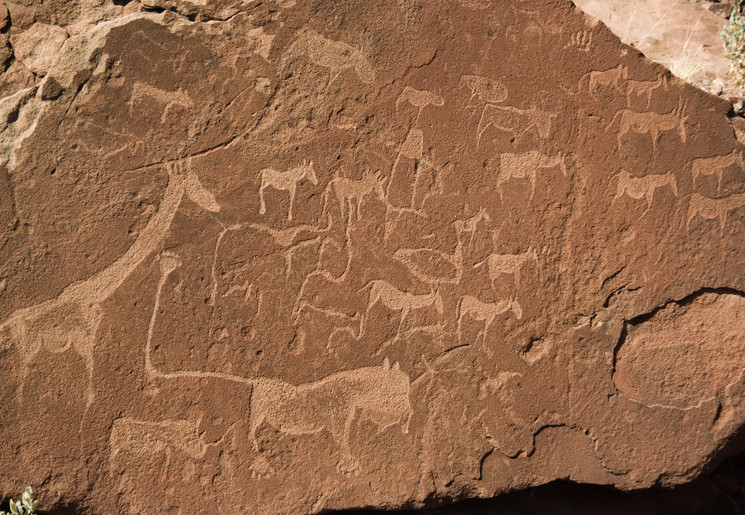 Damaraland Twyfelfontein (12)