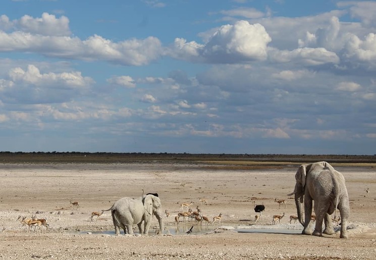 Wat is zo bijzonder aan Namibië?