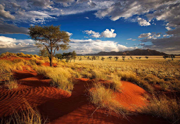 Namib-Naukluft National Park